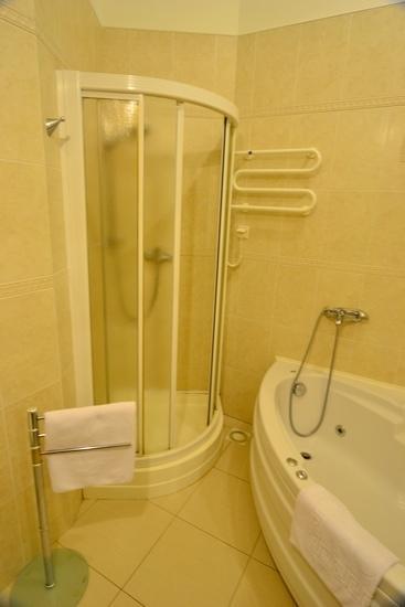 Apartment Premium Rent In Centre -